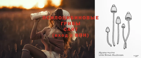 mix Козельск