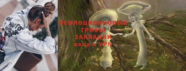прущая мука Козловка