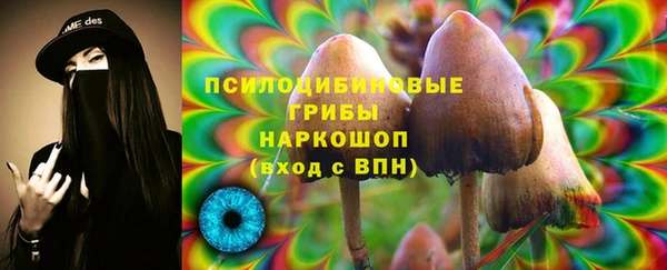 mix Козельск