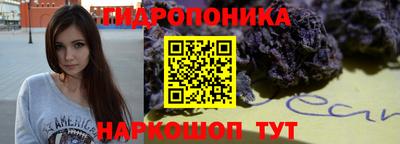 СК Апшеронск