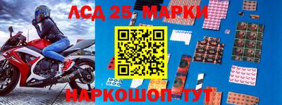 гидра Бийск