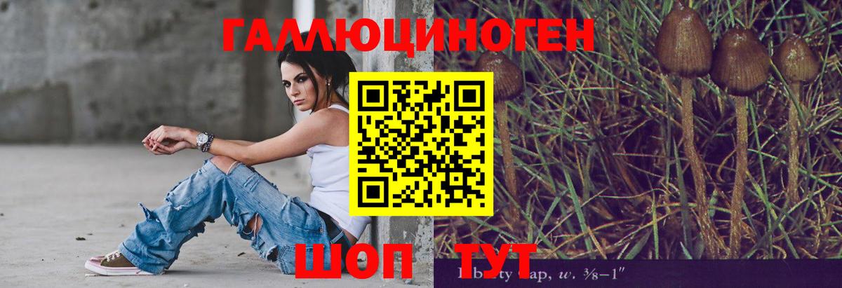 сколько стоит  Галлюциногенные грибы Psilocybine cubensis  Вход с VPN  Дзержинск 
