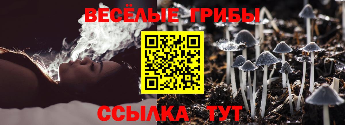Псилоцибиновые грибы Cubensis Дзержинск