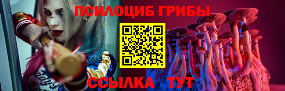 Псилоцибиновые грибы Psilocybe Дзержинск